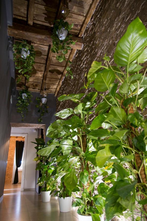Le Boutique Luxury Rooms Diffused In Historic Center Fiumicino Exterior photo